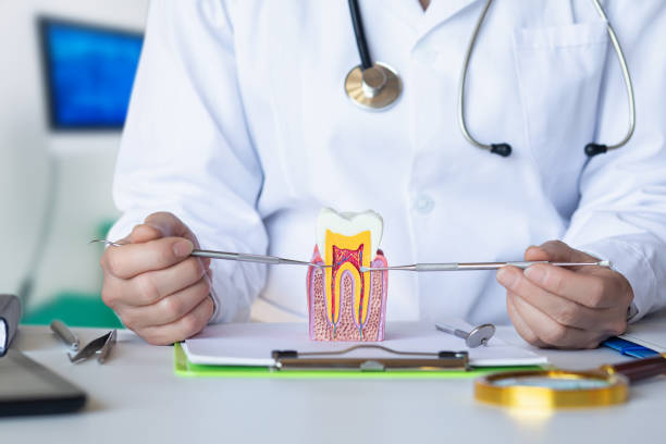 Best Pediatric Emergency Dentist in Tieton, WA